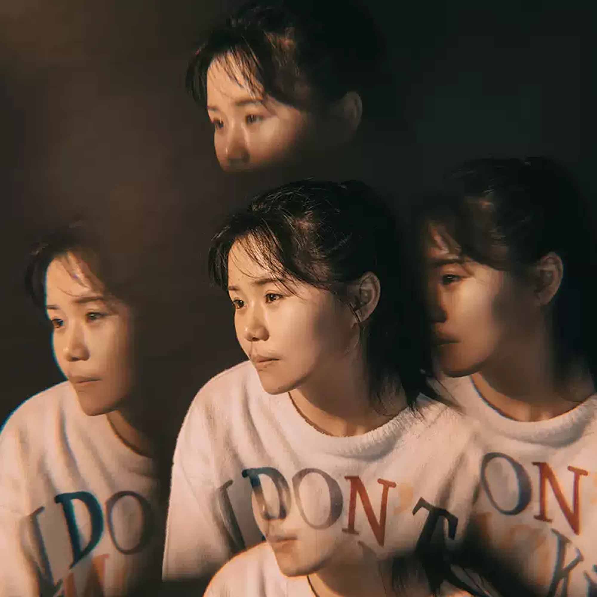 FF019 DSLR 액세서리 사진 촬영 카메라 프랙탈  - Lighting Effect In Photography 리뷰 및 가격